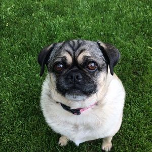 Meet your Posher, Ashley