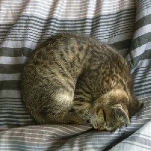 Meet your Posher, Dawn