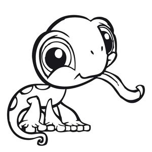 Meet your Posher, Rocio