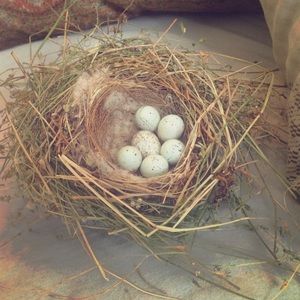 I'm selling these eggs I found