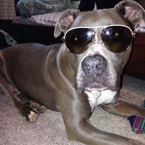 Meet your Posher, Antonio