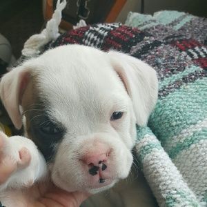 Meet your Posher, Jessica