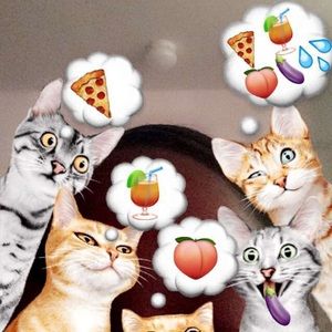 Meet your Posher, Bree