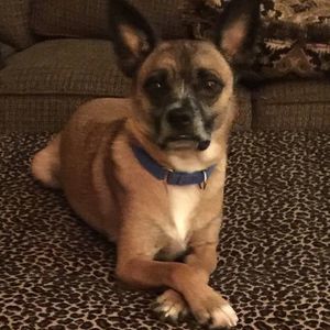 Meet your Posher, Carol