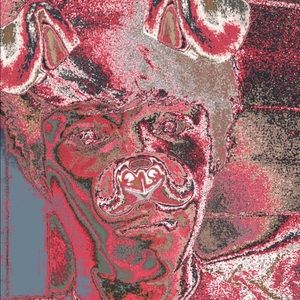 Meet your Posher, Nicholas