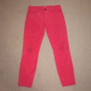 Hot pink velvet straight leg pants
