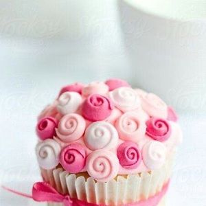 Meet your Posher, Rosa