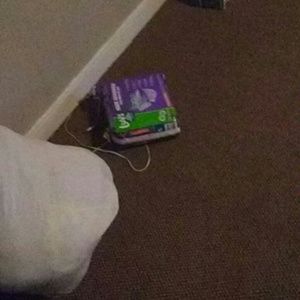 Meet your Posher, Brittany