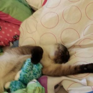 Meet your Posher, Andrea