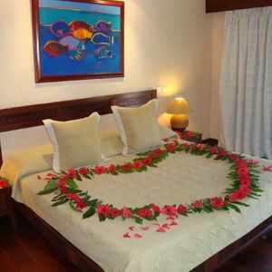 Meet your Posher, Tsigereda