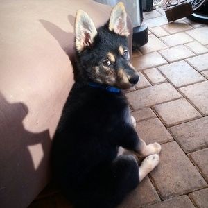 Meet your Posher, Caitlin