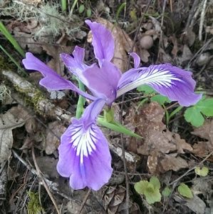 Meet your Posher, Katy