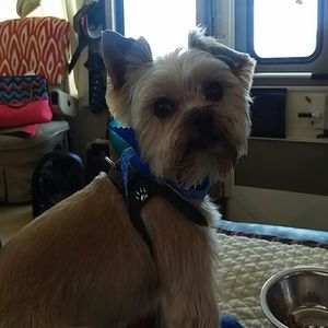 Meet your Posher, Joyce