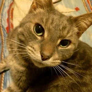 Meet your Posher, Jenni