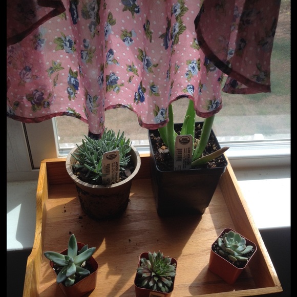 SOLD - Picture 2 of 4