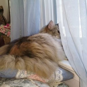 Meet your Posher, Cathy