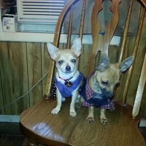 Meet your Posher, Melissa