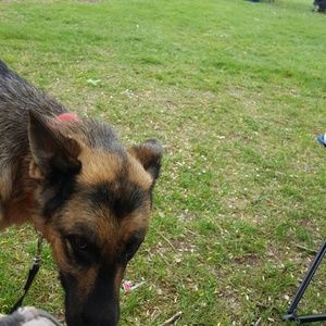 Meet your Posher, Marilee