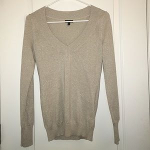 Sparkly V-neck Sweater