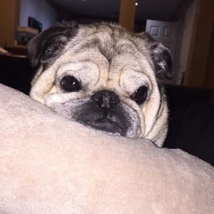 Meet your Posher, Linda