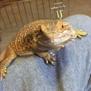 Meet your Posher, Heid