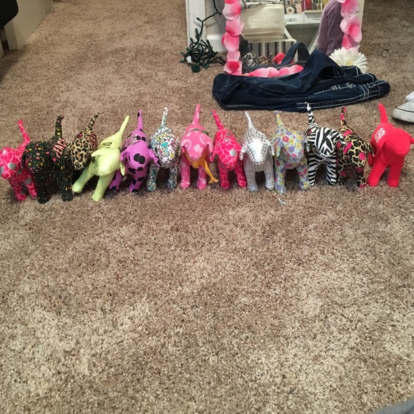 Victoria's Secret dogs - Picture 1 of 2