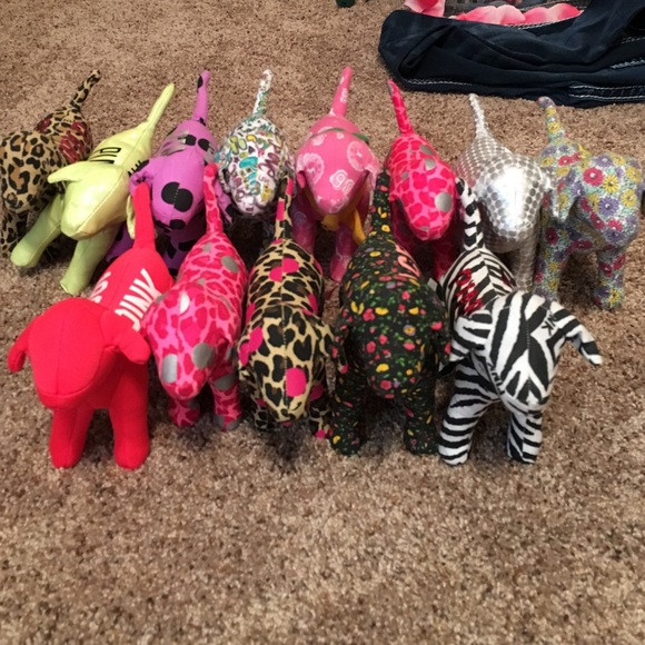 Victoria's Secret dogs - Picture 2 of 2