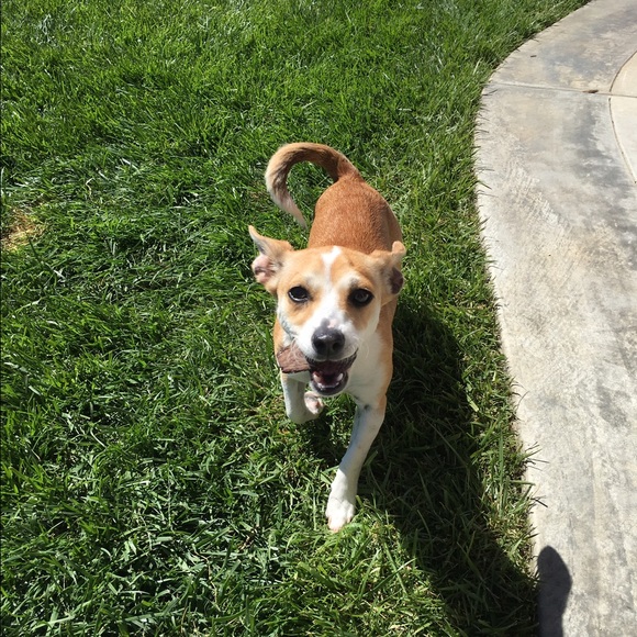 Meet your Posher, Mana