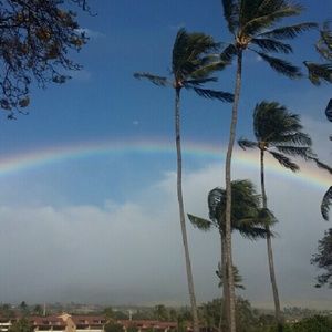 Meet your Posher, Lynn