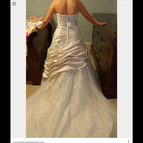 Champagne colored wedding ball gown. - Picture 3 of 3