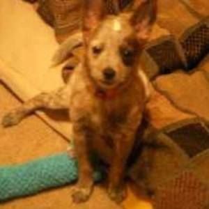 Meet your Posher, Vicky