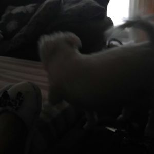 Meet your Posher, Donna