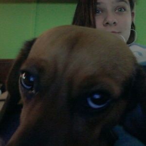 Meet your Posher, Carly