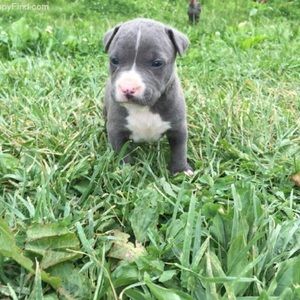 Meet your Posher, Latrisse