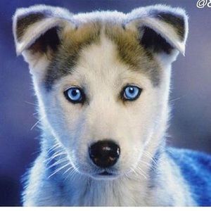 Meet your Posher, Jess