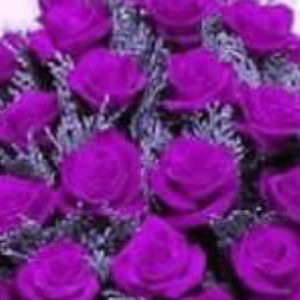 Meet your Posher, Candace