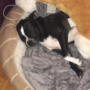 Meet your Posher, Cassidy