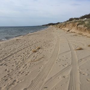 Meet your Posher, Carol