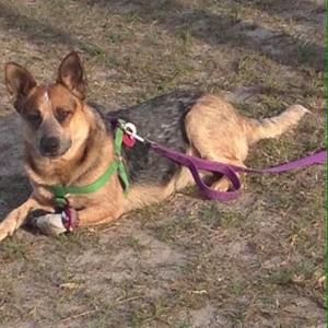 Meet your Posher, Jo ellen