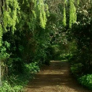 Meet your Posher, Brenna