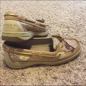 Angelfish sperrys