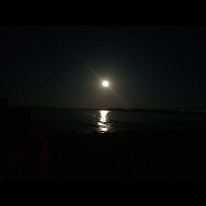 Meet your Posher, Teagan