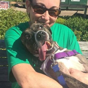 Meet your Posher, Cathie