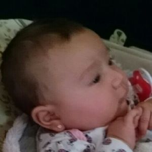 Meet your Posher, Perla