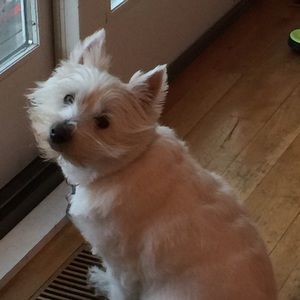 Meet your Posher, Karen