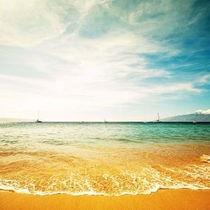 Meet your Posher, Maddy