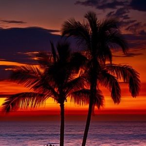 Meet your Posher, Jodi