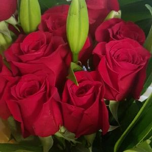 Meet your Posher, Keyla