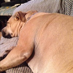 Meet your Posher, Kyla