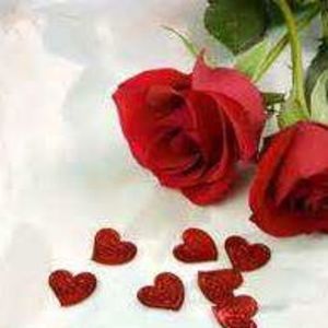 Meet your Posher, Sherrell